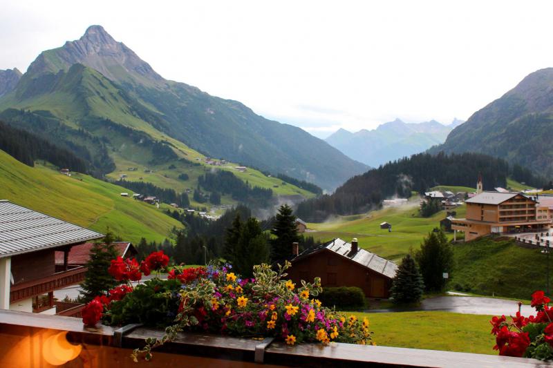 nebel blumen berg.jpg